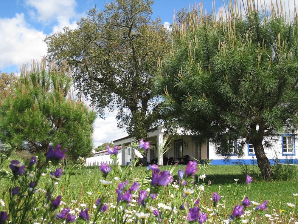Monte das Faias 2 estrelas em Grândola