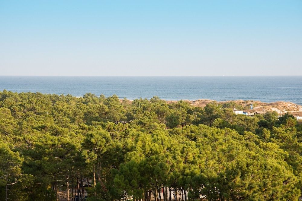 🌞 Férias em Aparthotel 4* junto ao Mar | Monte Gordo