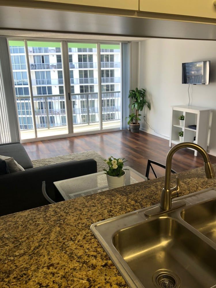 One Bedroom Apartment in Skyrise 1 One Bedroom Apartment in Skyrise 1