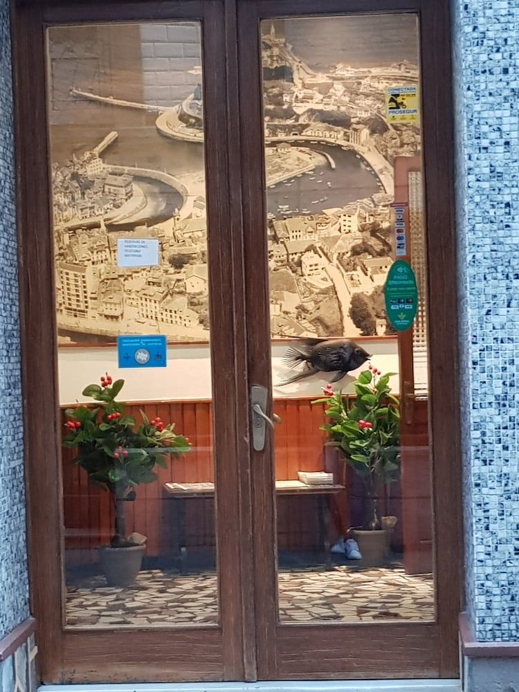 Pensión oria 2 Pensión oria 2