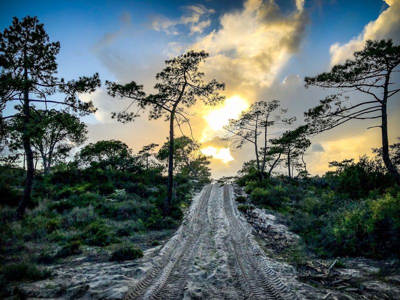 Pestana Troia Eco-Resort and Residences em promoção com Traventia