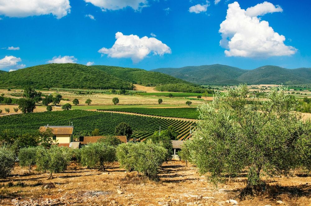 Poggiolivi Country House -1 étoiles à Magliano in Toscana