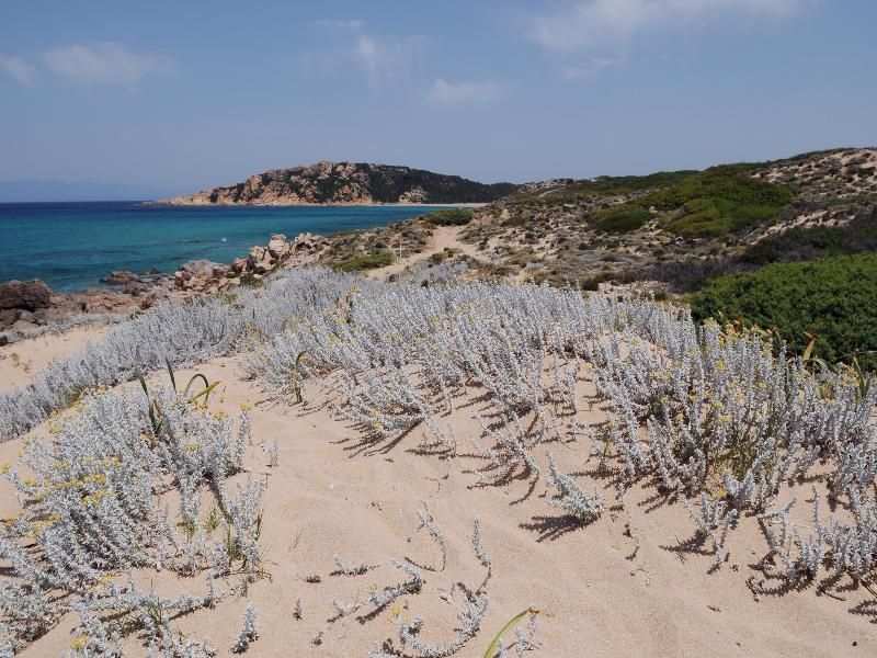 Residence Lu Lamoni 2