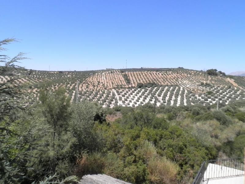 Sierra De Araceli 2