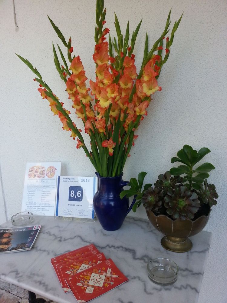 Studios les Iris 2