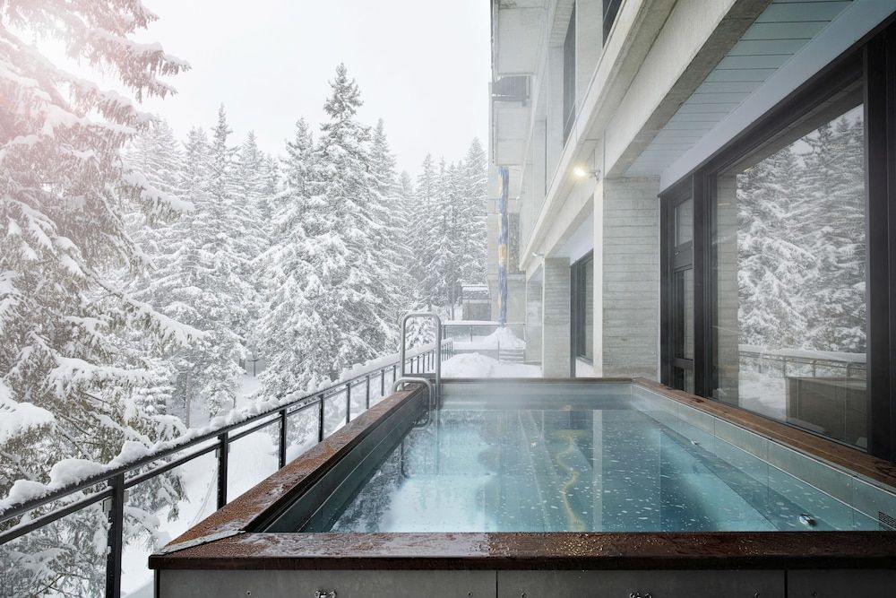 Terminal Neige - Totem 3 étoiles à Flaine