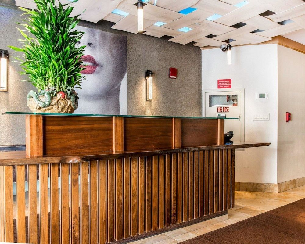 The Solita Soho Hotel, an Ascend Hotel Collection Member 3 The Solita Soho Hotel, an Ascend Hotel Collection Member 3