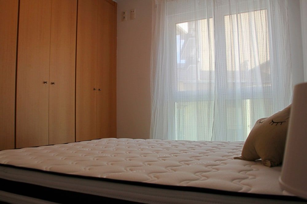 Vitivola Prat Condal 2-4 1r 9a 2 Vitivola Prat Condal 2-4 1r 9a 2