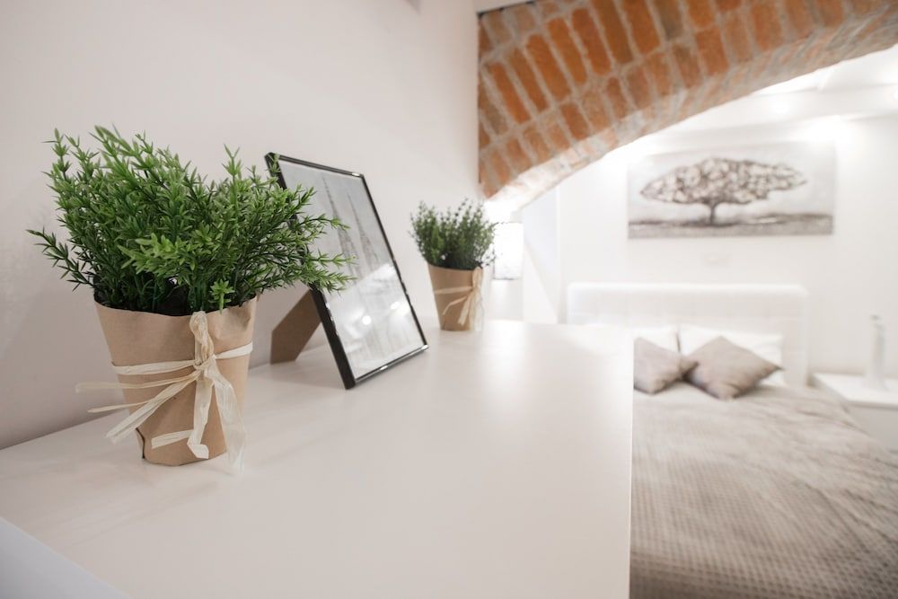 Studio Apartment La Bodega 1