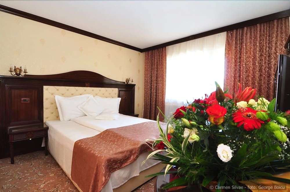 Vila Turistica Carmen Silvae 3