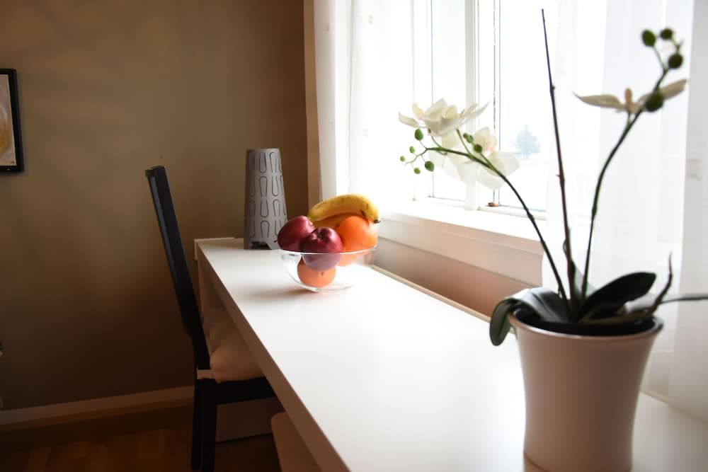 Sólgerði Guesthouse - in Höfn 2