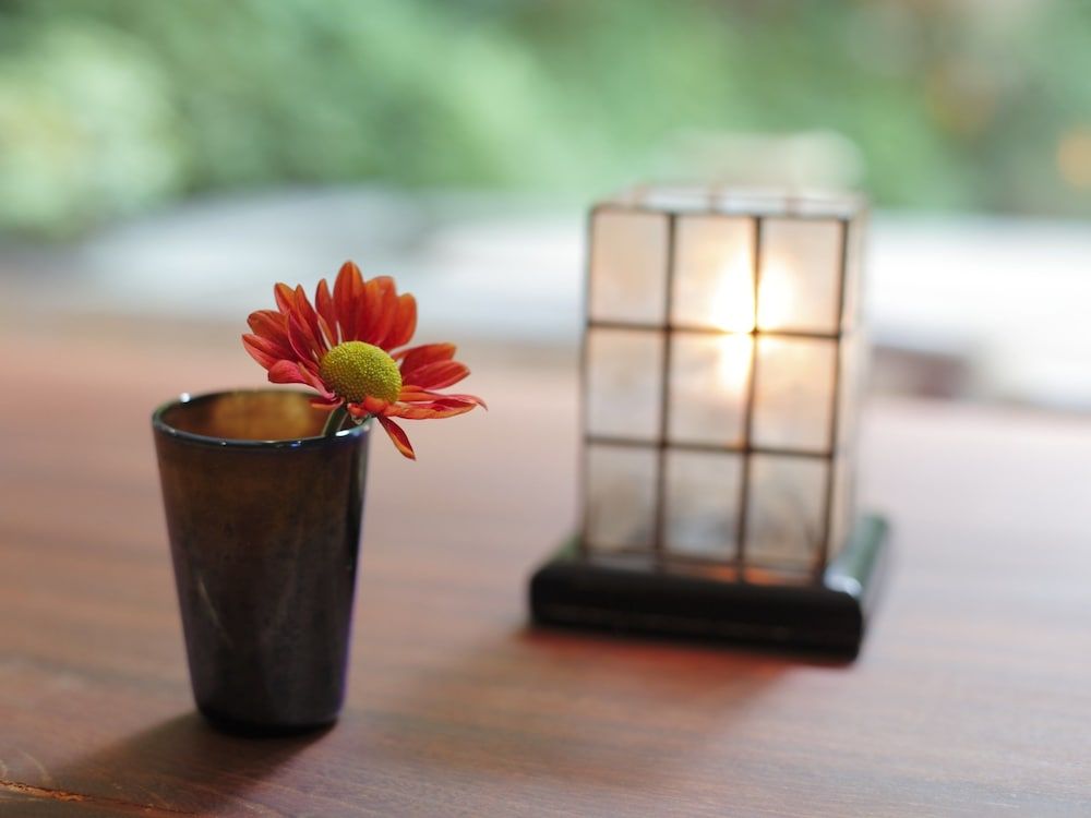 GORA HANAOUGI-SOUNKAKU 2