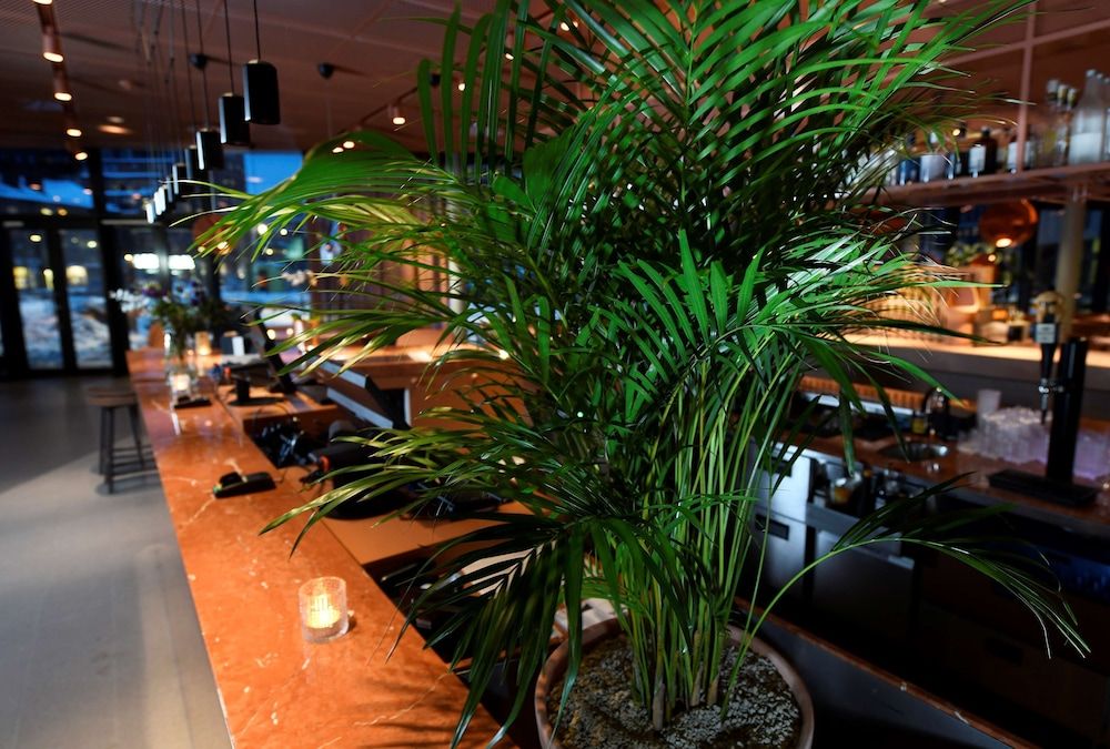 Best Western Plus Grow Hotel 3