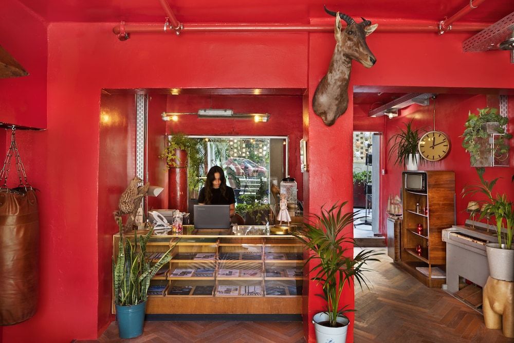 Dave Gordon - Son of a Brown 3 Dave Gordon - Son of a Brown 3