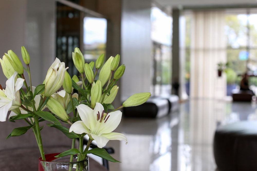 Dazzler by Wyndham Rosario 3