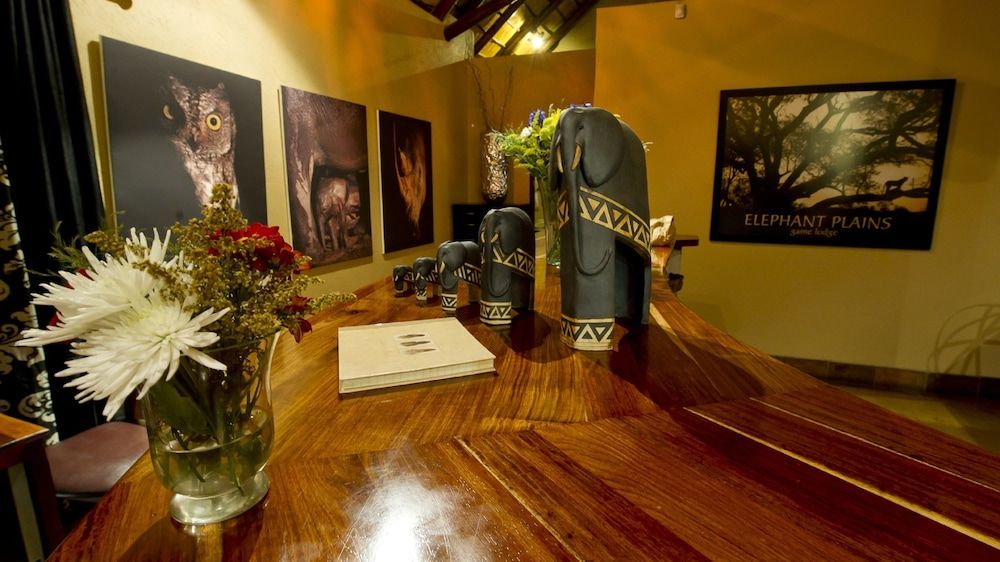 Elephant Plains Game Lodge 2