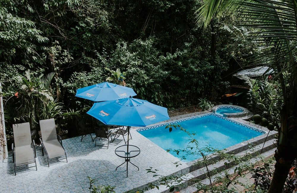 Hotel La Posada and Jungle 1