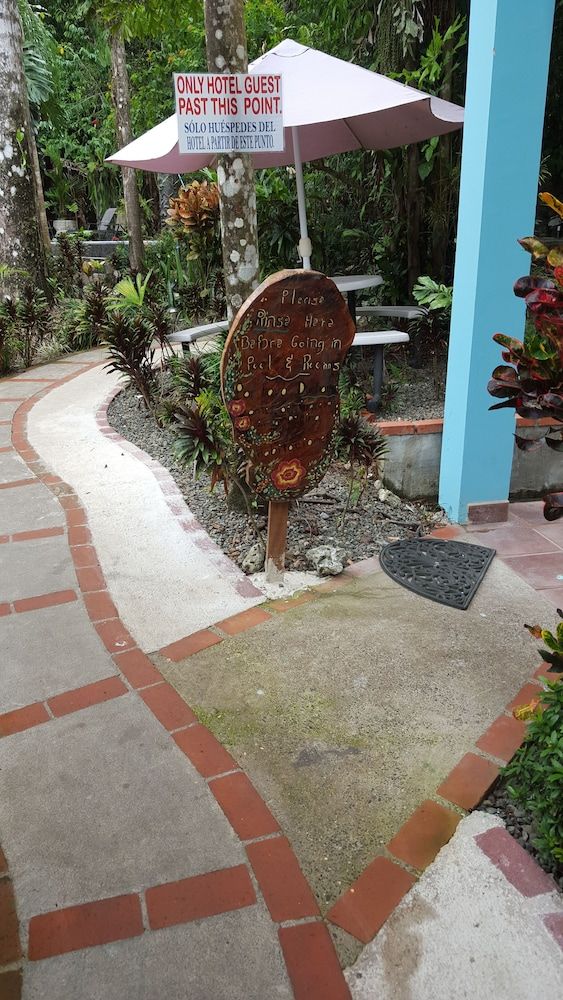 Hotel La Posada and Jungle 3