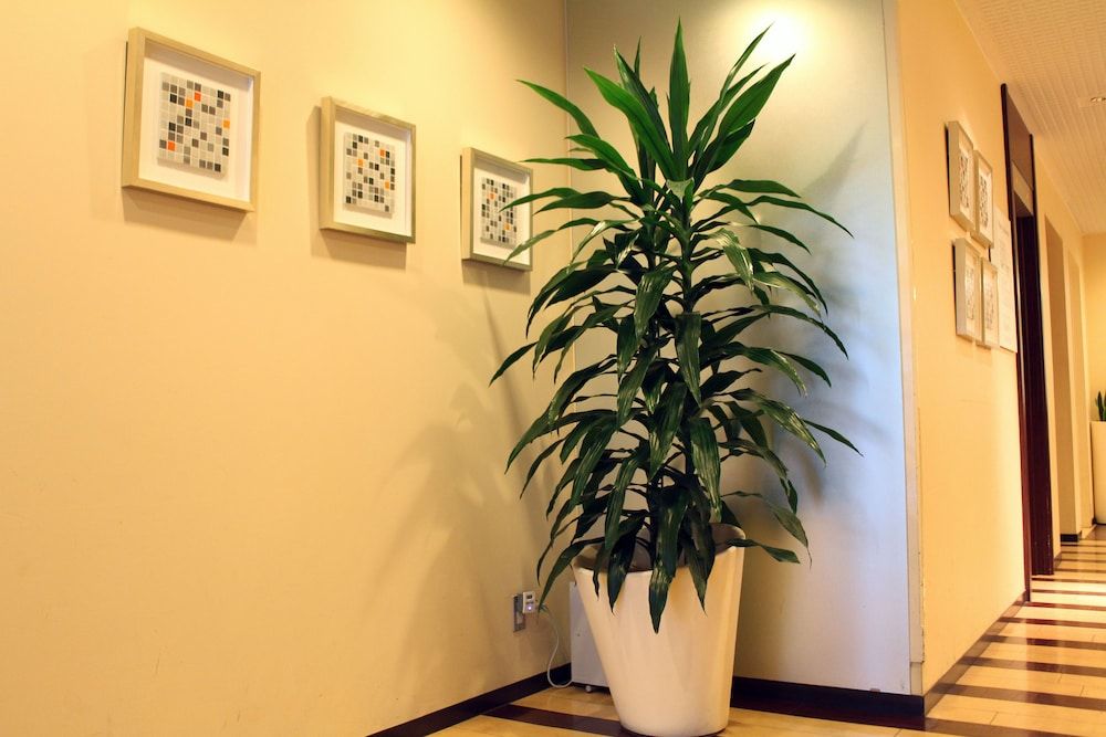 Hotel S-plus Nagoya Sakae 2