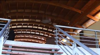 Rainforest Selva Hotel 2