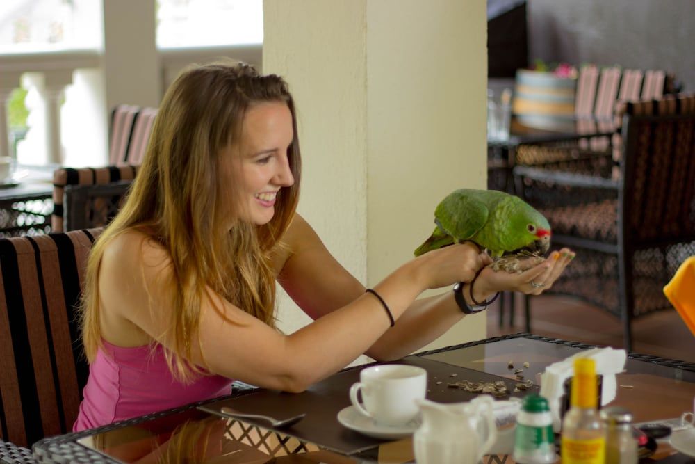 Tifakara Boutique Hotel & Birding Oasis 2