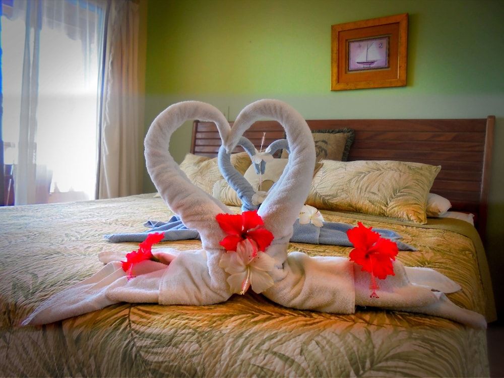 Hotel Delfin Playa Bejuco 3