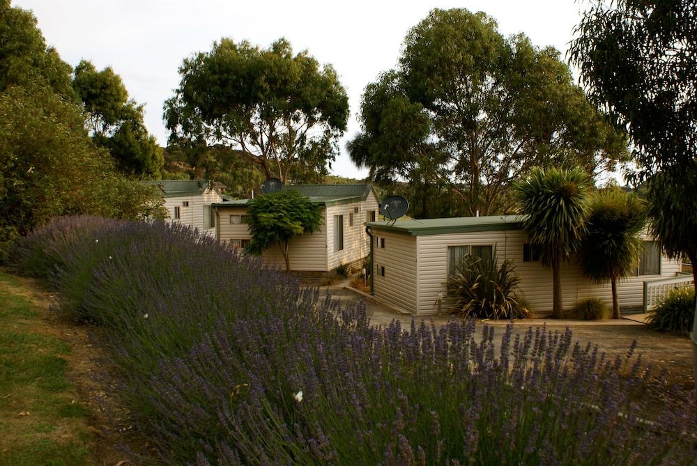 Daysy Hill Country Cottages 3