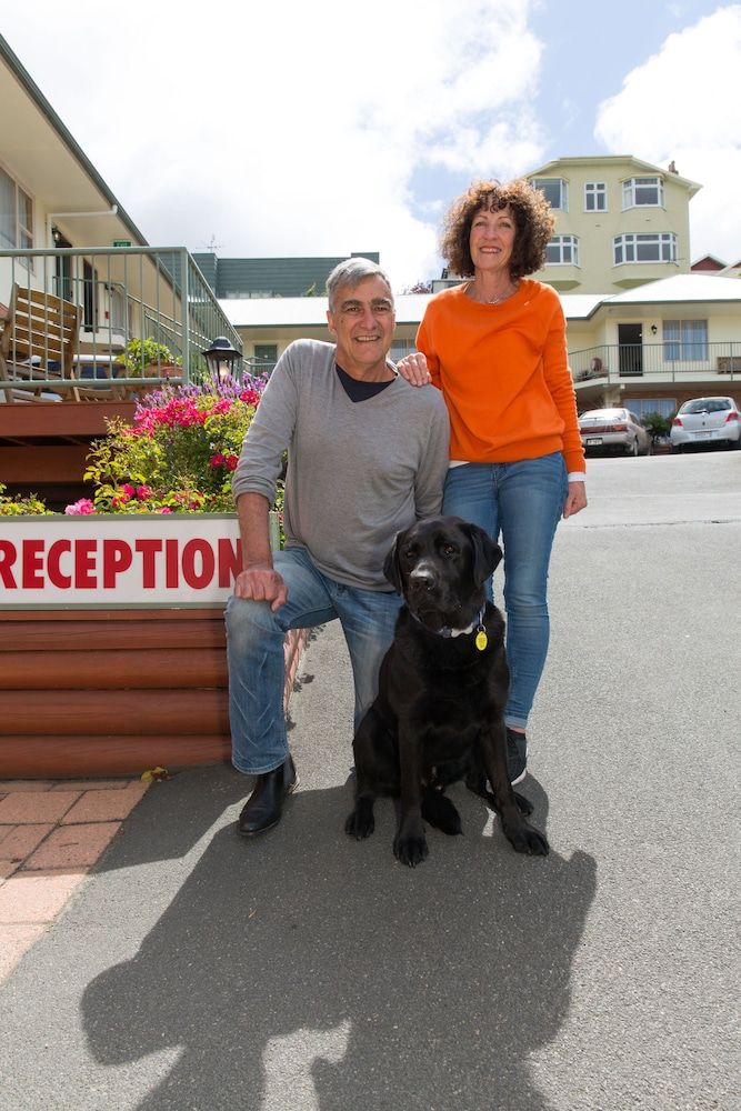 Alexis Motor Lodge 3