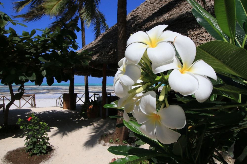 Sea View Lodge Boutique Hotel 1