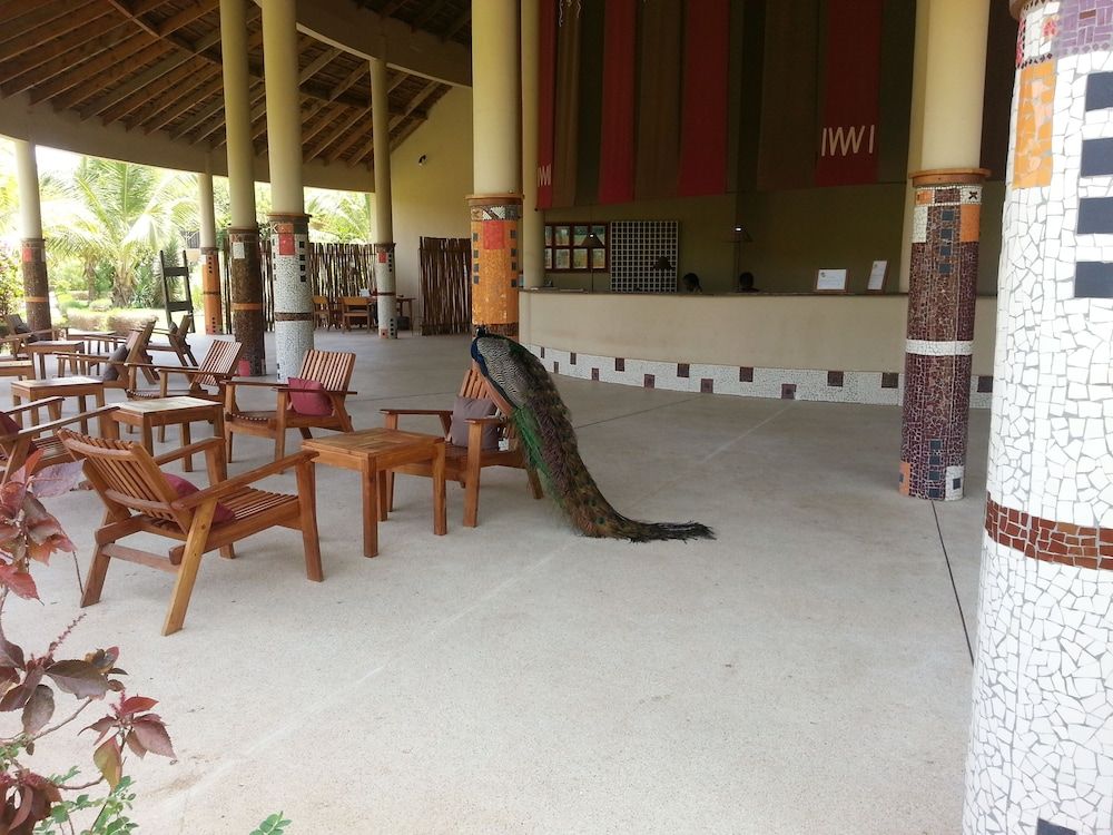 Hotel Club Royal Saly - All Inclusive 2