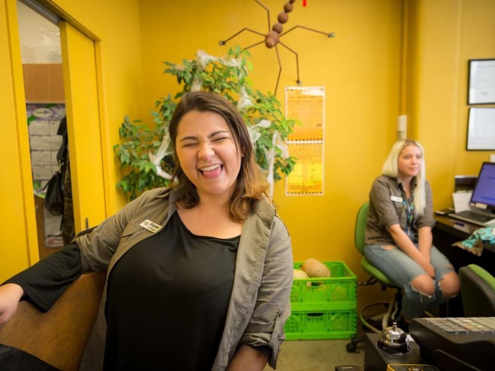 Trek Global Backpackers 2