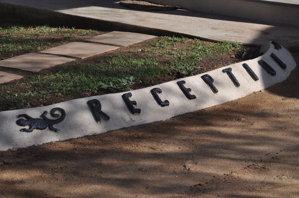 Sabie River Bush Lodge 2