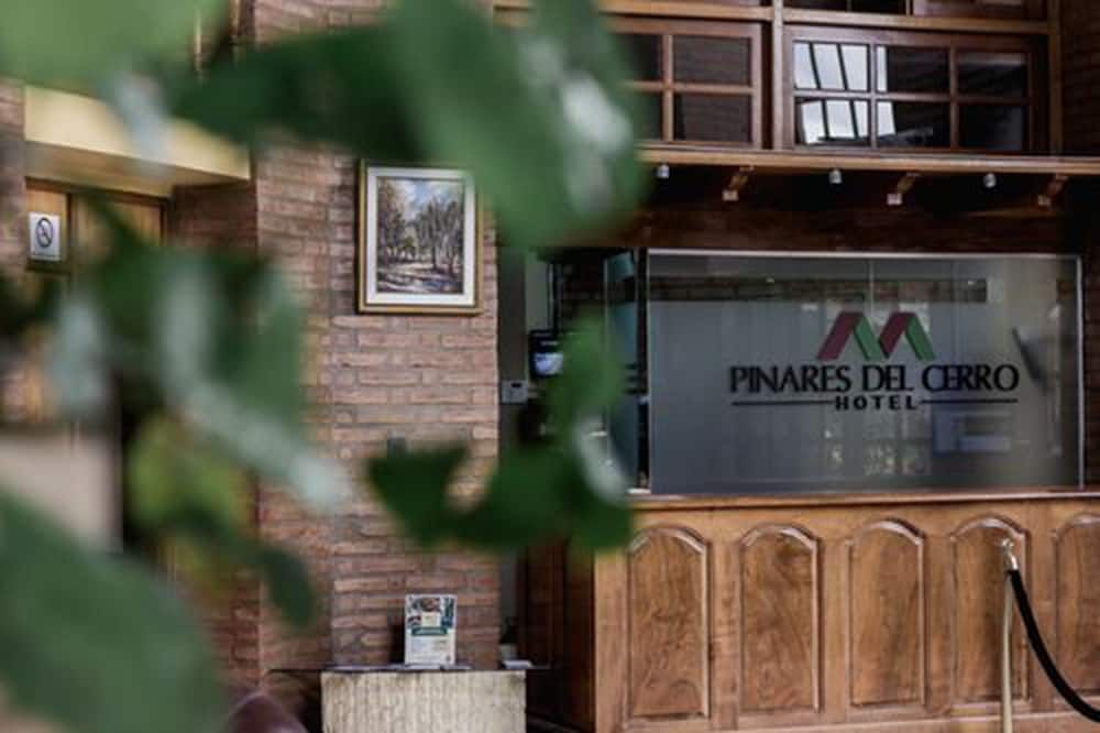 Hotel Pinares Del Cerro 2