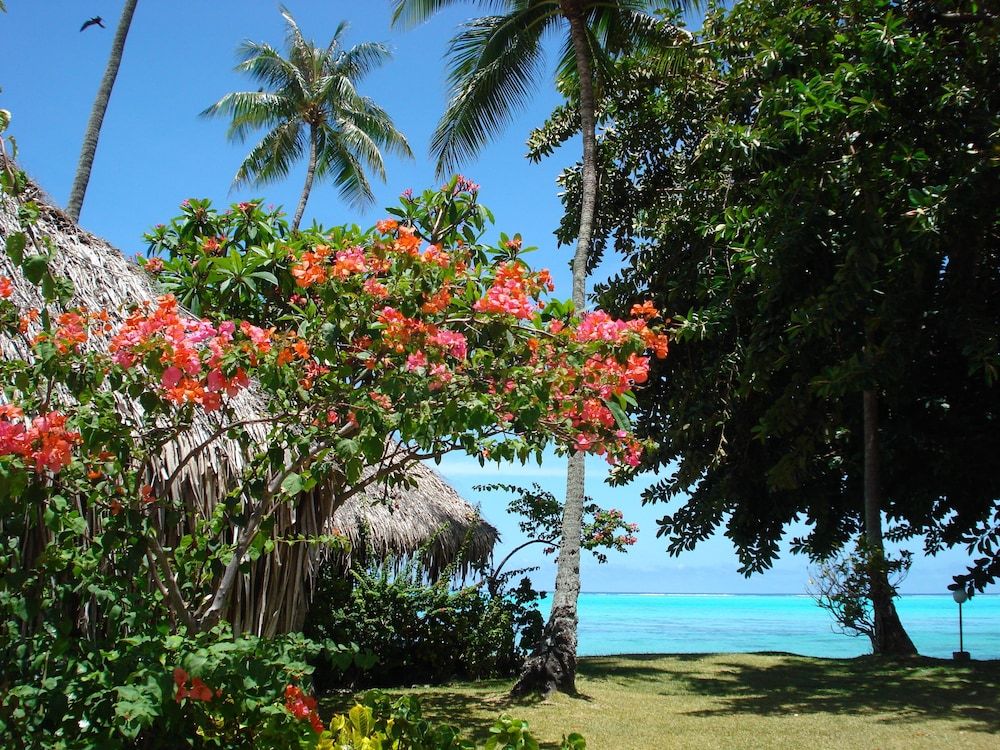 Hotel Hibiscus 2 estrellas en Maharepa