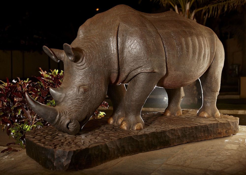 The Rhino Resort Hotel & Spa 3