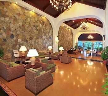 Bonjour Bonheur Ocean Spray 3