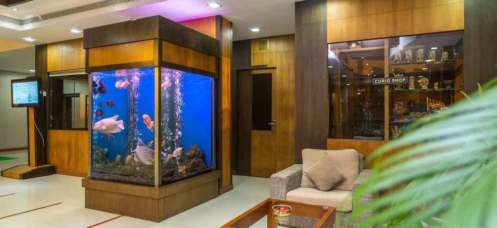 PJ Princess Regency 2