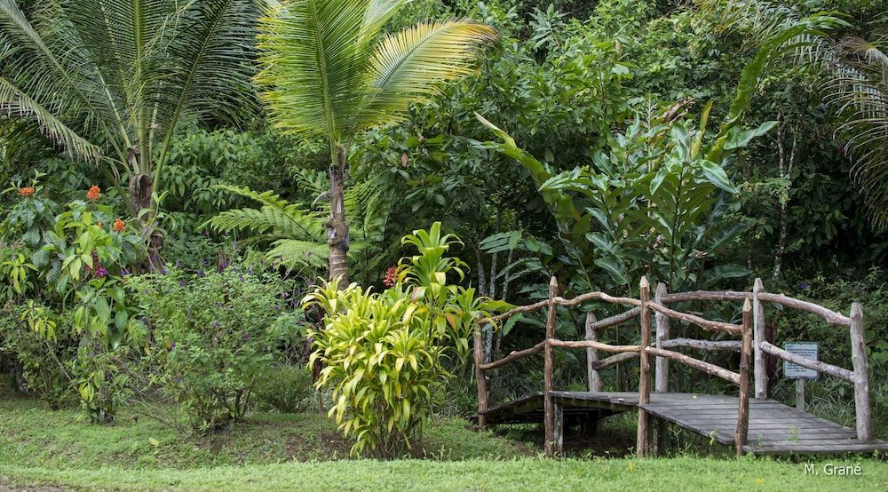Hacienda Pozo Azul 2