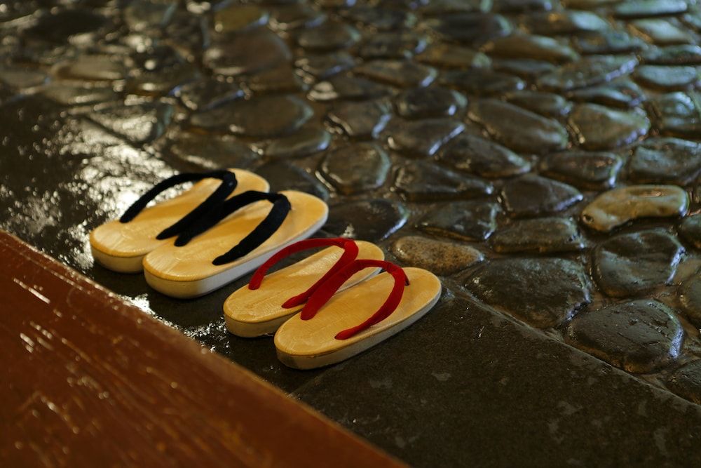 Negiya Traditional Japanese Spa Ryokan 2