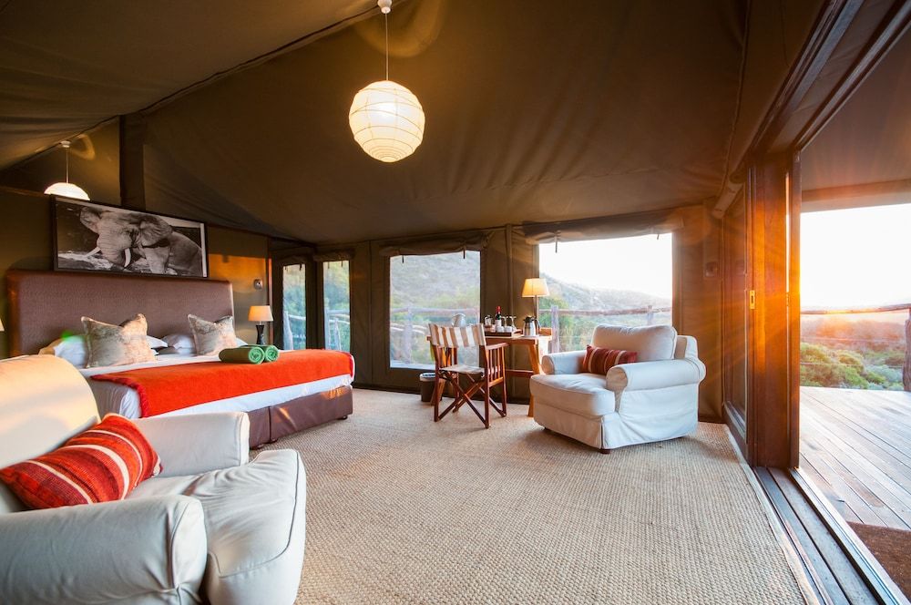 HillsNek Safari Camp-Amakhala Game Reserve 3