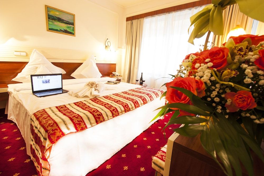 Prahova Plaza Hotel 3