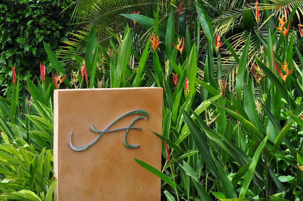 Alma Del Pacifico Beach Hotel & Spa 3