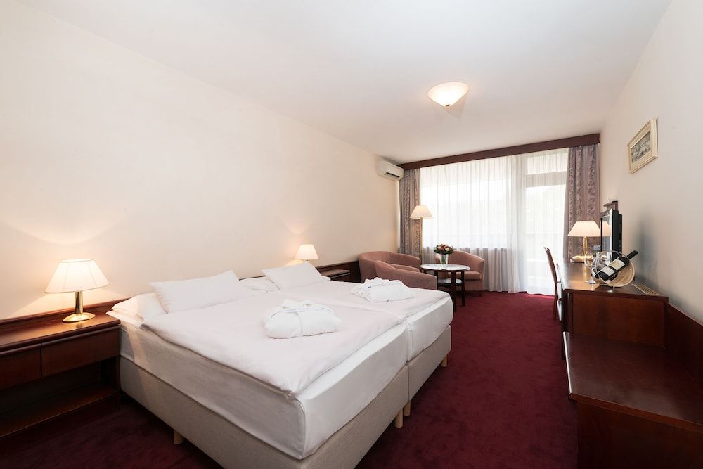 Esplanade Ensana Health Spa Hotel 3