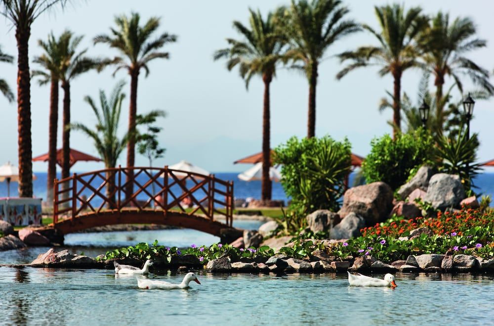 Movenpick Resort Taba