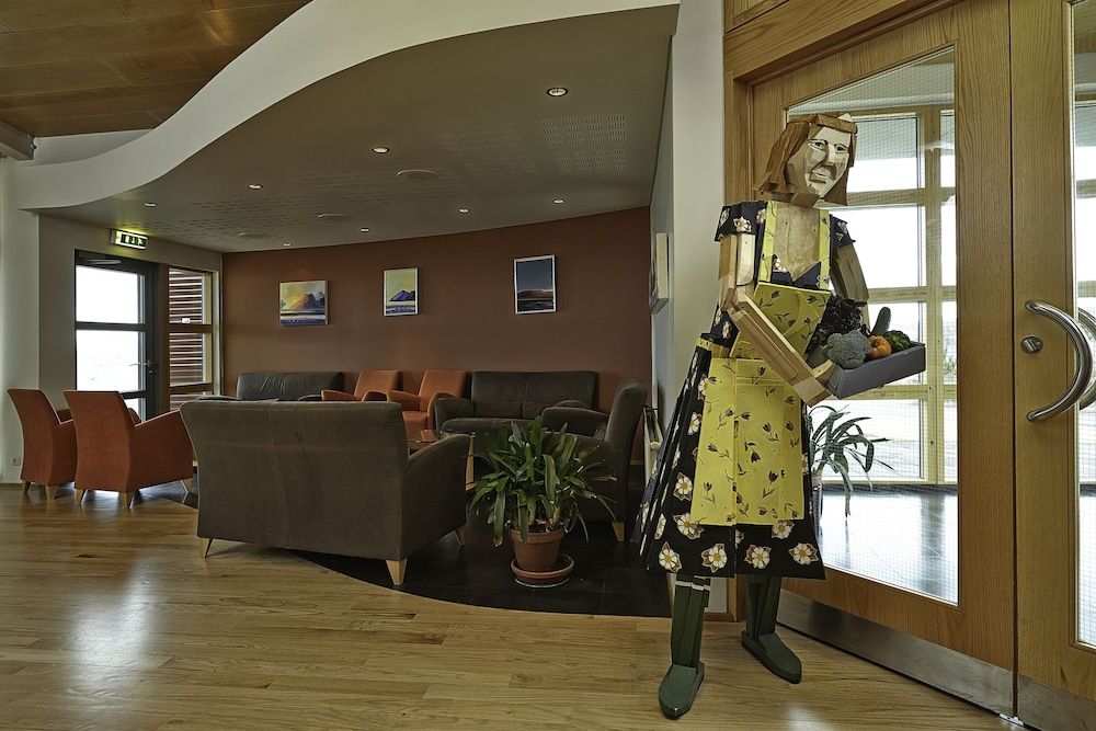 Icelandair Hotel Fludir 2