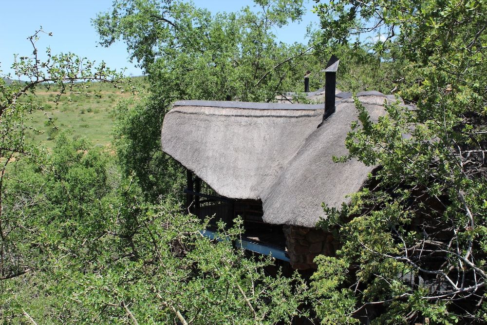 Tshukudu Bush Lodge 3