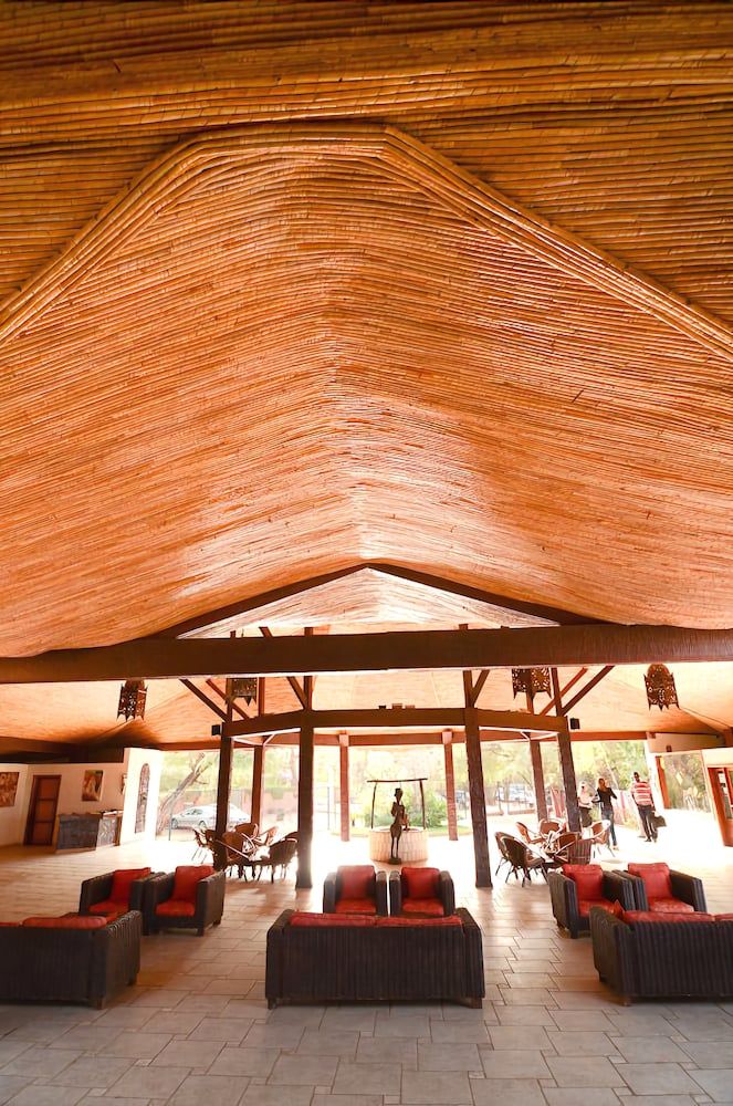 Royal Horizon Baobab 2