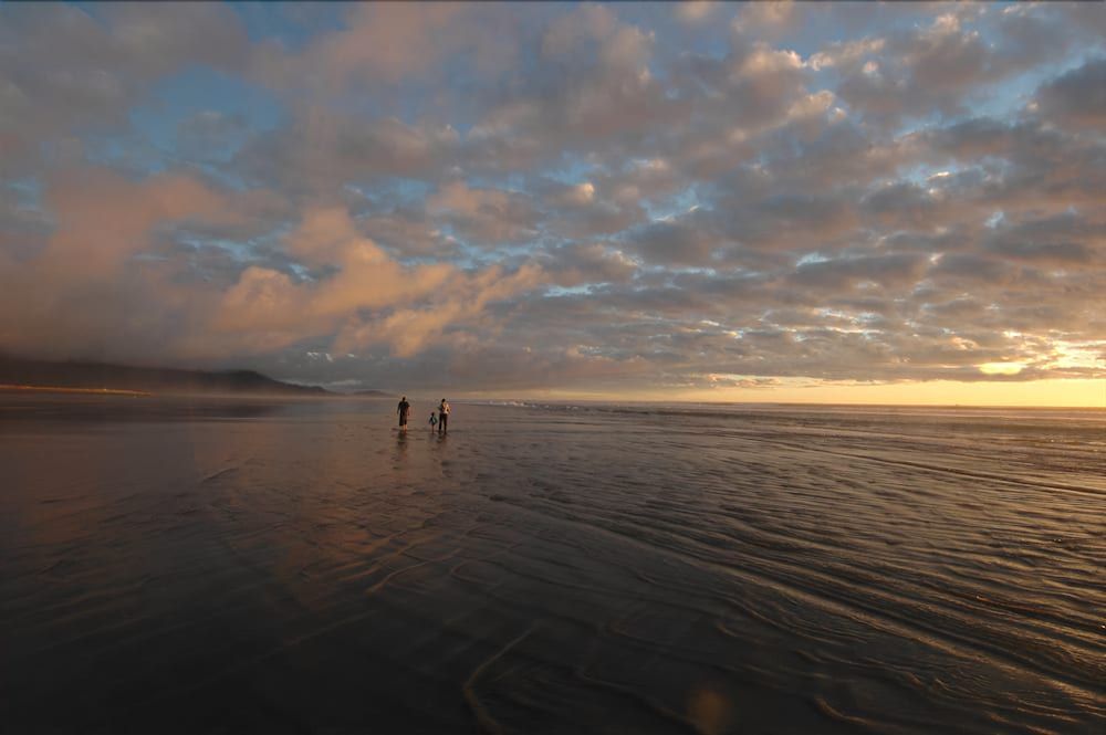 Punakaiki Resort 4 estrelas em Punakaiki