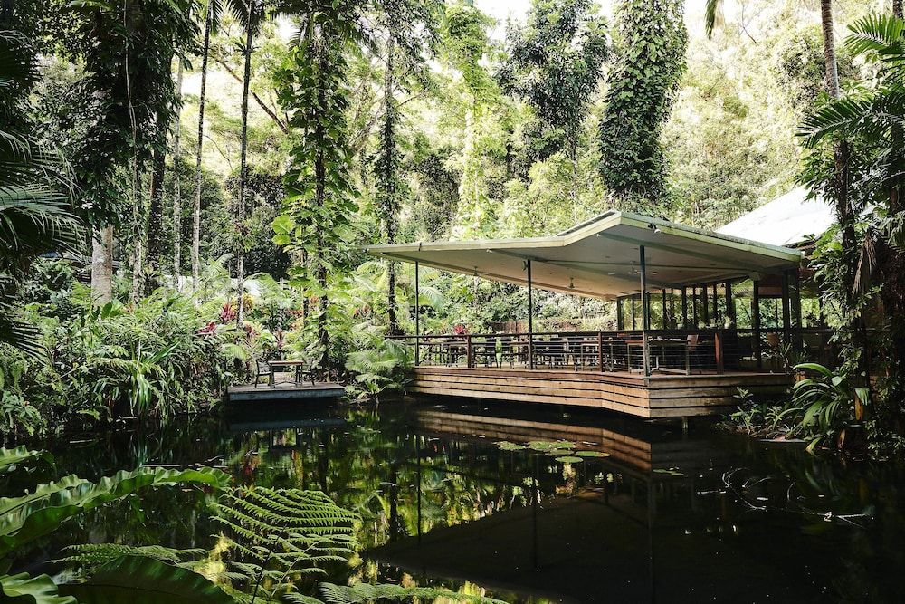 Daintree Ecolodge