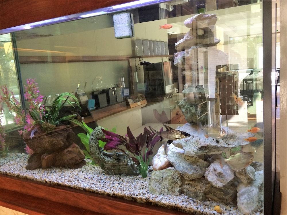 Hospitality Geraldton, SureStay Collection by Best Western 3